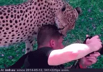 #Funny  #Move [Funny] Don't Move GIF (Image of album My r/FUNNY favs))
