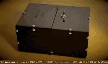 #Funny #Time #Decision #Good #Try [Funny] Every time I try and make a good decision GIF (Bild von album My r/FUNNY favs))