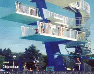 #Funny #Eat #Commit #Shit #Fully [Funny] Fully commit, or eat shit... GIF (Imagen de album My r/FUNNY favs))