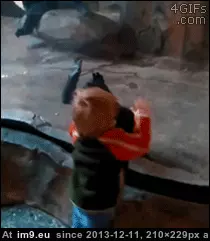 #Funny #You #Teasing #George #Told #Animals [Funny] George, what have I told you about teasing the animals? GIF (Image of album My r/FUNNY favs))