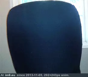 #Funny #Good #Start #Pugs #Way #Week [Funny] Good way to start your week. ( -r-pugs) 3 GIF (Obraz z album My r/FUNNY favs))