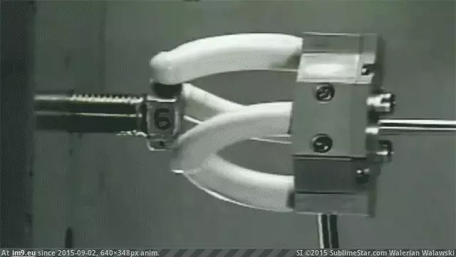 #Funny #Technology #Far [Funny] Has technology gone too far? GIF (Image of album My r/FUNNY favs))