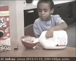 #Funny #How #Life [Funny] How do I life? 1 GIF (Image de album My r/FUNNY favs))