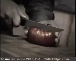 #Funny #How #Life [Funny] How do I life? 2 GIF (Image de album My r/FUNNY favs))