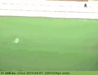 #Funny #Badly #Fuck [Funny] How do you fuck up this badly? GIF (Image of album My r/FUNNY favs))