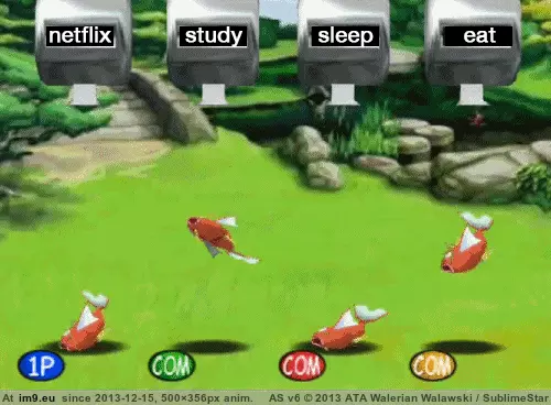 #Funny #Time #Finals #Spend #People #How [Funny] How People Actually Spend Time During Finals GIF (Изображение из альбом My r/FUNNY favs))