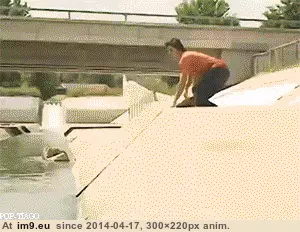 #Funny #Accept #Fate [Funny] I accept my fate. GIF (Imagen de album My r/FUNNY favs))