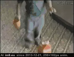 #Funny  #Got [Funny] I got this GIF (Imagen de album My r/FUNNY favs))