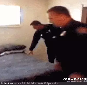 #Funny #Peoplebeingjerks #Mattress [Funny] I'm a mattress [ -r-PeopleBeingJerks] GIF (Image of album My r/FUNNY favs))