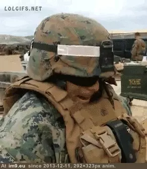 #Funny  #Turtle [Funny] I'm a turtle. GIF (Obraz z album My r/FUNNY favs))