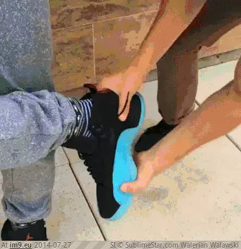 #Funny #Good #People #Vine #Amazed #Goddam #Stories #Seconds #Telling [Funny] I'm amazed at how good vine people are at telling stories in 6 goddam seconds GIF (Imagen de album My r/FUNNY favs))