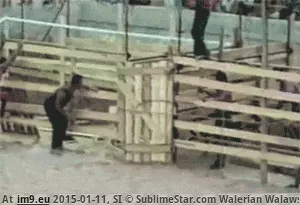 #Funny #Sick #Shit [Funny] I'm sick of this shit. GIF (Obraz z album My r/FUNNY favs))