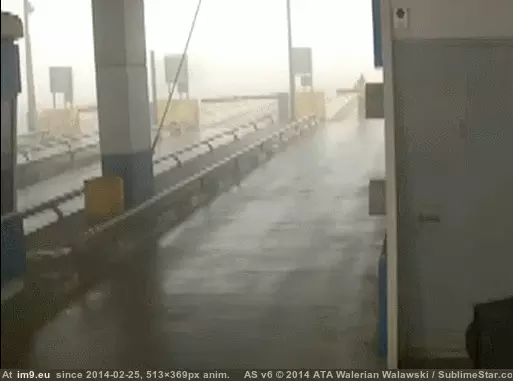 #Funny #Day #Glad #Hit #Car [Funny] I'm so glad that car didn't hit me. My day can only get better. GIF (Image of album My r/FUNNY favs))