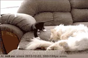 #Funny #Way #Saturday #Parents #Mornings #Lot #Feel [Funny] I'm sure a lot of parents feel the same way Saturday mornings GIF (Image of album My r/FUNNY favs))