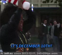 #Funny #Waited #Year [Funny] I've waited a whole year to post this 1 GIF (Imagen de album My r/FUNNY favs))