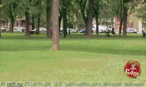 #Funny #Kind #Pranks #Twin #Pull [Funny] I wish I had a twin just to pull this kind of pranks GIF (Image de album My r/FUNNY favs))