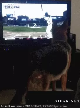 #Funny #Games #Breaks #All #Fun [Funny] it's all fun and games until someone breaks the tv... GIF (Image of album My r/FUNNY favs))