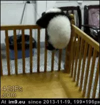 #Funny #Jail #Break [Funny] Jail break. GIF (Imagen de album My r/FUNNY favs))