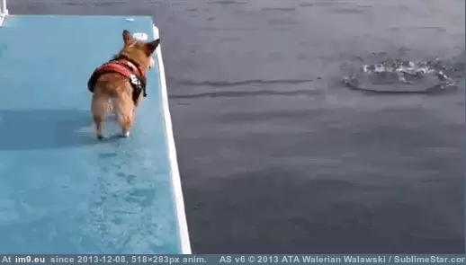 #Funny #Guard #Future #Life [Funny] Life guard of the future GIF (Изображение из альбом My r/FUNNY favs))