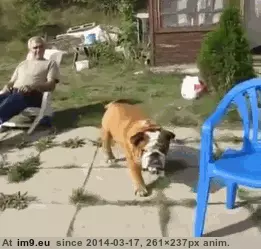 #Funny #Hard #Life [Funny] Life is hard GIF (Изображение из альбом My r/FUNNY favs))