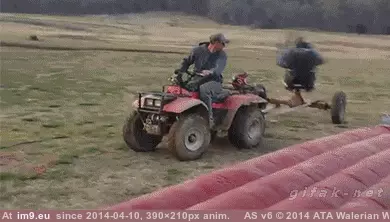 #Funny  #South [Funny] Meanwhile, in the south... GIF (Obraz z album My r/FUNNY favs))