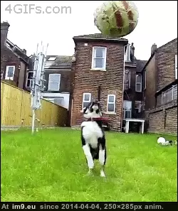 #Life #Funny [Funny] My life in a gif GIF (Image of album My r/FUNNY favs))
