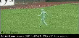 #Funny #Dreams #Give [Funny] Never give up on your dreams! GIF (Imagen de album My r/FUNNY favs))