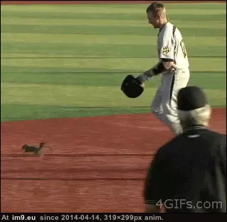 #Funny #Save #Nice [Funny] Nice save GIF (Obraz z album My r/FUNNY favs))