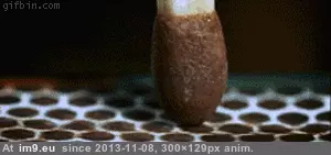 #Funny #Oddly #Satisfying [Funny] Oddly satisfying 14 GIF (Obraz z album My r/FUNNY favs))