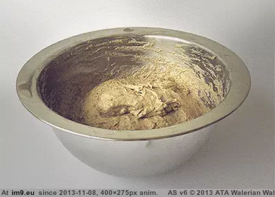 #Funny #Oddly #Satisfying [Funny] Oddly satisfying 17 GIF (Image de album My r/FUNNY favs))