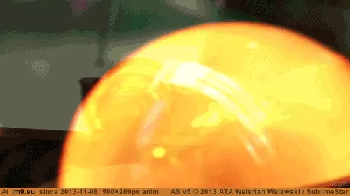 #Funny #Oddly #Satisfying [Funny] Oddly satisfying 22 GIF (Изображение из альбом My r/FUNNY favs))