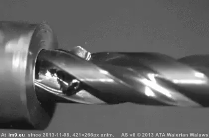 #Funny #Oddly #Satisfying [Funny] Oddly satisfying 5 GIF (Image of album My r/FUNNY favs))