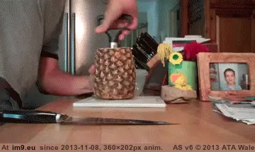 #Funny #Oddly #Satisfying [Funny] Oddly satisfying 6 GIF (Imagen de album My r/FUNNY favs))