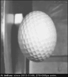 #Funny #Oddly #Satisfying [Funny] Oddly satisfying 7 GIF (Imagen de album My r/FUNNY favs))