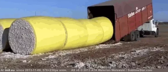 #Funny #Oddly #Satisfying [Funny] Oddly satisfying 9 GIF (Изображение из альбом My r/FUNNY favs))