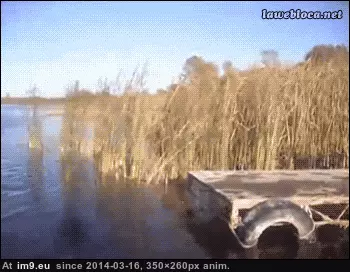 #Funny #Brakes #Fuck [Funny] Oh fuck my brakes! GIF (Image of album My r/FUNNY favs))