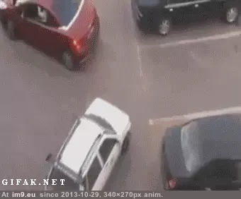 #Funny  #Asshole [Funny] Oh really asshole? GIF (Image of album My r/FUNNY favs))