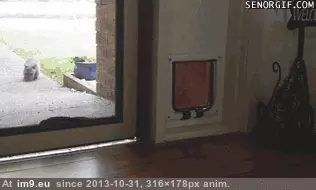 #Funny #Was #Door #For [Funny] Oh. There's the door I was looking for. GIF (Obraz z album My r/FUNNY favs))