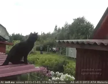 #Funny  #Got [Funny] Okay. I got this. GIF (Image of album My r/FUNNY favs))