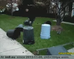 #Funny #Brothers #Older [Funny] Older Brothers. GIF (Bild von album My r/FUNNY favs))