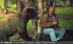 #Funny #Man #Bear #Steal #Deals #Manly #Food [Funny] Over manly man deals with bear trying to steal his food GIF (Image of album My r/FUNNY favs))