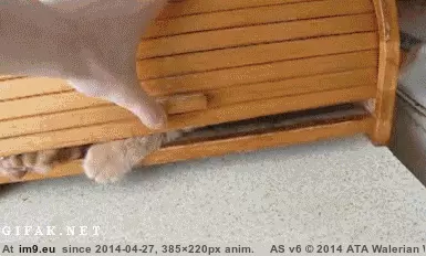 #Funny  #Disturb [Funny] Please...Don't disturb me... GIF (Image of album My r/FUNNY favs))