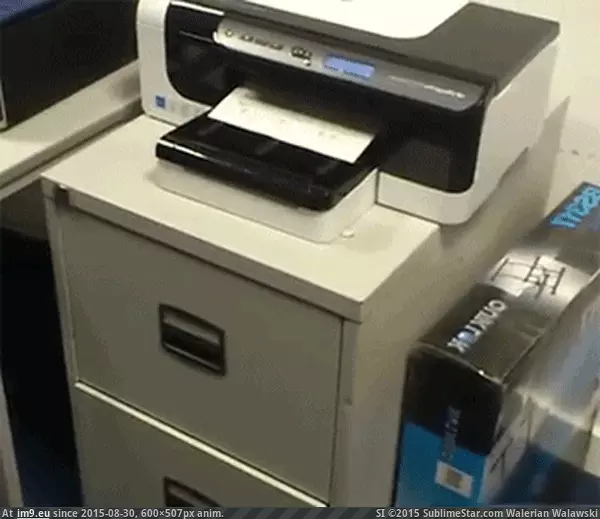 #Funny  #Printed [Funny] Printed, filed and ready to go. GIF (Изображение из альбом My r/FUNNY favs))