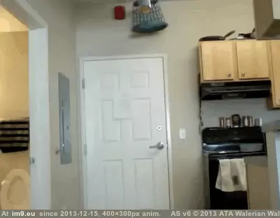 #Funny #Engineering #Quality [Funny] Quality engineering GIF (Bild von album My r/FUNNY favs))