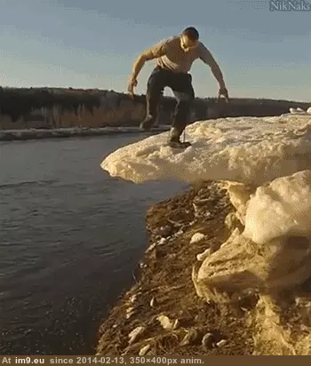 #Funny #Life #Wile #Real #Coyote [Funny] Real life Wile E. Coyote. GIF (Image de album My r/FUNNY favs))