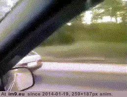 #Funny #Russia #Present [Funny] Reddit, I present to you, RUSSIA. 10 GIF (Image de album My r/FUNNY favs))