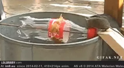 #Funny #Mousetrap #RedneckGIFs #Redneck [Funny] Redneck mousetrap ( -r-redneckgifs) GIF (Bild von album My r/FUNNY favs))