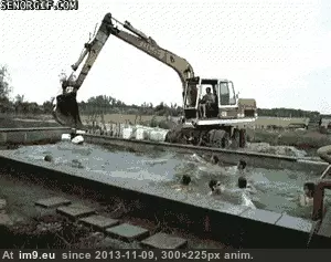 #Funny #Russian #Wave #Pool [Funny] Russian wave pool. GIF (Image de album My r/FUNNY favs))
