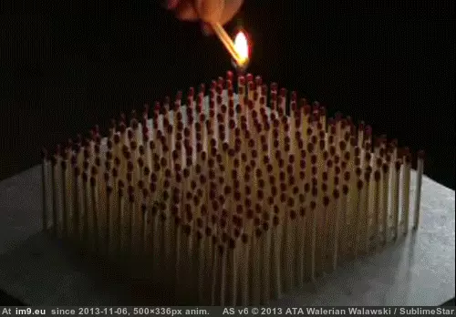 #Funny  #Science [Funny] Science 7 GIF (Image of album My r/FUNNY favs))