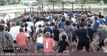 #Funny #You #Choose #All #People [Funny] Seriously? of all the people you choose me? GIF (Image de album My r/FUNNY favs))